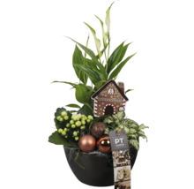 Blomsterarrangemang med fredskalla, Kalanchoe, julgranskulor och dekorativt pepparkakshus i en kruka