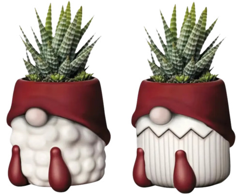 Suckulentarrangemang i keramikkruka 'Father Christmas' ca Ø6cm sorterade Två växter i dvärgkrukor