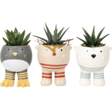 Tre dekorativa blomkrukor med djurdesign och suckulenter.