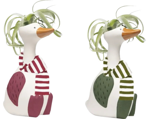 Tillandsia i keramikkruka 'Chilly Goose' Ø ca. 8cm sorterade Två dekorativa gåsfigurer med halsduk och växter