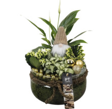 Planteringsskål med olika gröna växter, dvärgfigur och julgranskulor