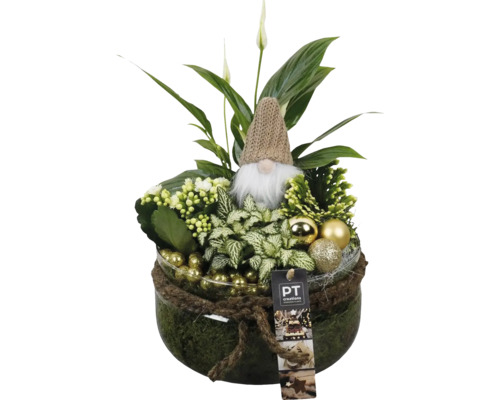 Planteringsskål med olika gröna växter, dvärgfigur och julgranskulor