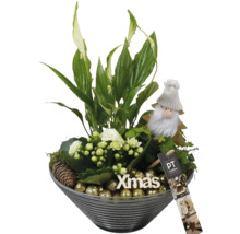 Juldekoration med grön växt, vita blommor, jultomtefigur, tallkotte och gyllene bollar i en grå skål