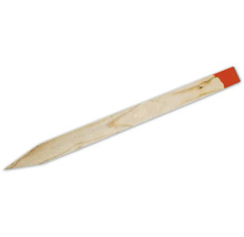 Växtpinne i trä med markering