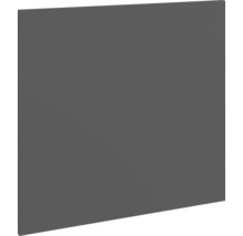 Panel