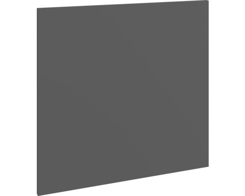 Panel