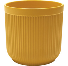 Gul blomkruka med räfflat mönster