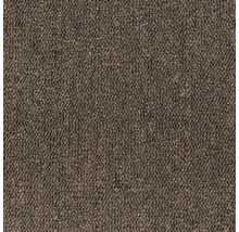 Detaljbild av en brun heltäckningsmatta