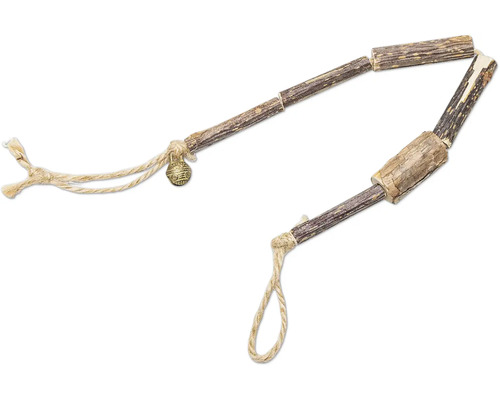 Två hjortpenisar med snöre och klocka