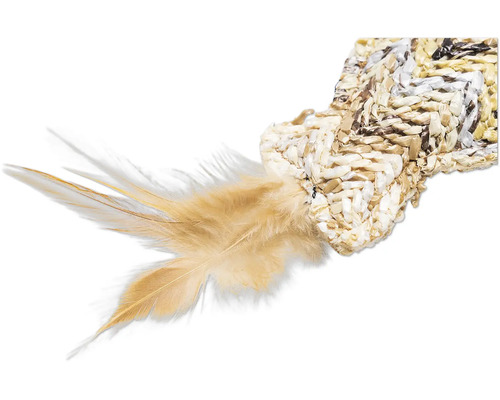 Dekorativt fjäder element av naturmaterial