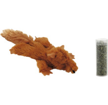 Katt leksak ekorre med kattmynta