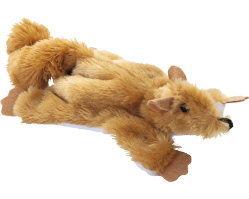 Kramdjur hund, liggande