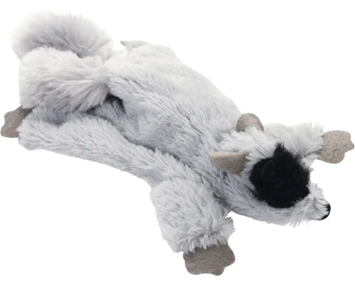 Grå tvättbjörn som gosedjur