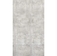 Närbild av en grå betongvägg med sprickor