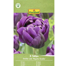 Förpackning med 8 tulpaner av sorten Double Late Negrita Double från FloraSelf