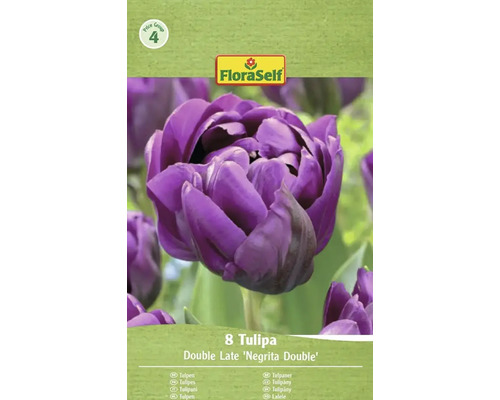 Förpackning med 8 tulpaner av sorten Double Late Negrita Double från FloraSelf