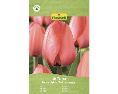 Förpackning Darwin Hybrid Red Impression tulpaner från FloraSelf