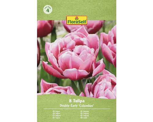 FloraSelf Tulpaner Double Early Columbus, 8 stycken