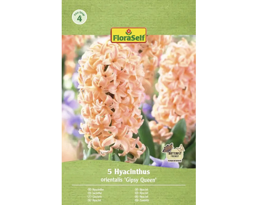Förpackning med fem hyacinter av sorten Gipsy Queen från FloraSelf