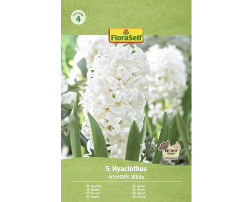 Förpackning med 5 vita hyacinter av sorten orientalis från FloraSelf