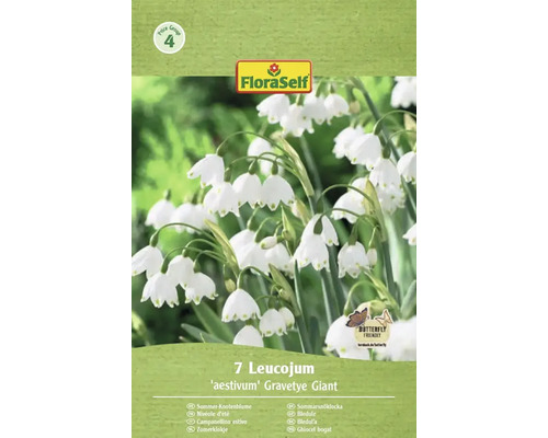 Förpackning med sju sommarsnökklockor av sorten 'aestivum' Gravetye Giant med Butterfly Friendly-sigill och FloraSelf-logotyp