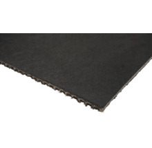 Detaljvy av en ljuddämpande skiva