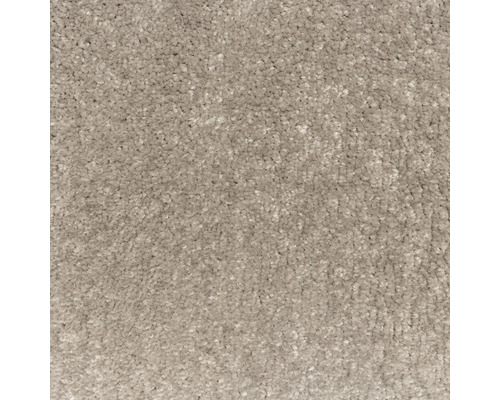 Närbild av heltäckningsmatta