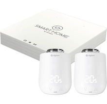 Hornbach Smart Home centralenhet med två radiatortermostater