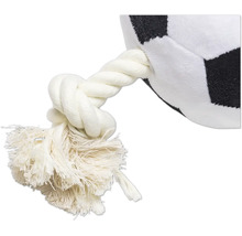 Hundleksak fotboll med rep