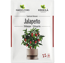 Fröpåse för Jalapeño chili