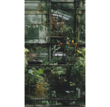 Närbild av ett växthus med växter