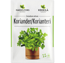 Fröförpackning koriander