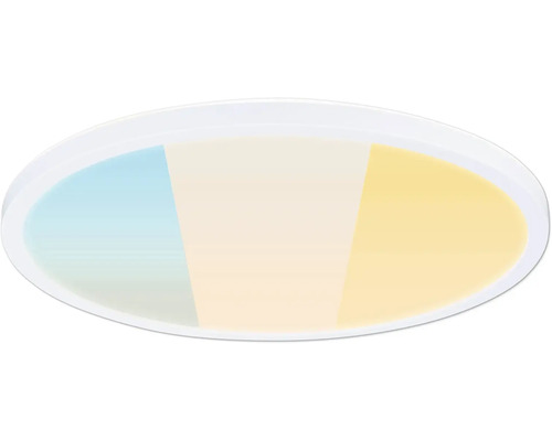 LED-panel PAULMANN Atria shine vit 24W 40cm Taklampa med rund form