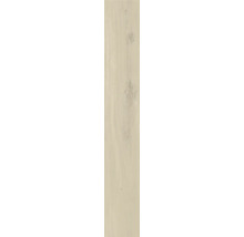 Träpanel med trästruktur