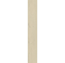 Dekorativ skiva av trä