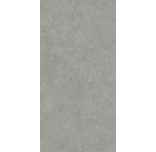 Grå väggplatta med stenutseende