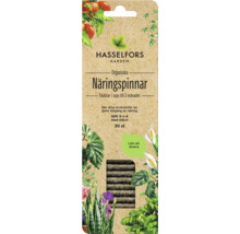 Hasselfors Garden Organiska näringspinnar, gödselmedel i upp till tre månader, förpackning med 30 stycken
