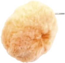 Enskild grillad äpple på spett