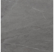 Grå kakelplatta med marmorutseende.