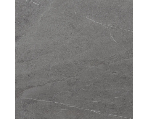 Grå kakelplatta med marmorutseende.