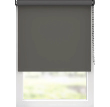 Fönster med mörkläggande rullgardin