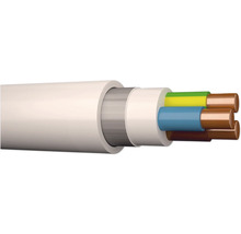 Tvärsnitt av elkabel med flera ledare