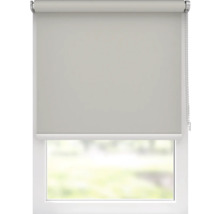 Fönster med rullgardiner för skuggning