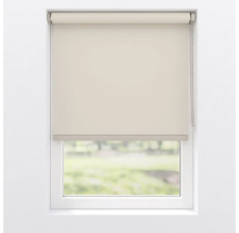 Rullgardin på fönstret för ljusreglering