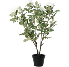 Dekorativ konstgjord ros i kruka