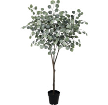 Konstgjord eukalyptus i kruka