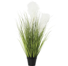 Dekorativ konstväxt med pampasgräs i kruka