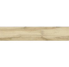 Dekorativ skiva med trädekor