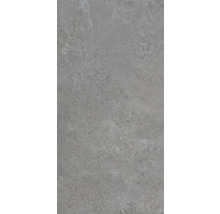 Grå klinkerplatta med matt yta