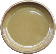 Keramisk tallrik för matbordet